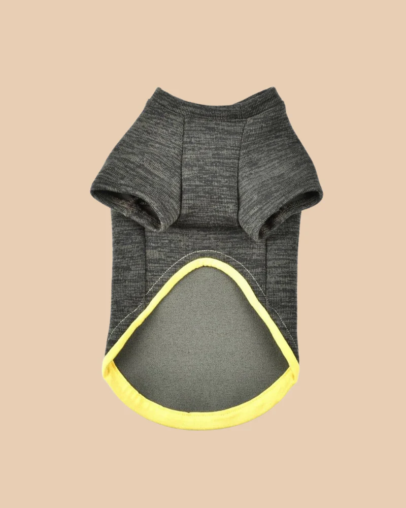 Knit Dog Sweater in Khaki Green w/ Yellow Trim (Made in Spain) (FINAL SALE) - Image 3