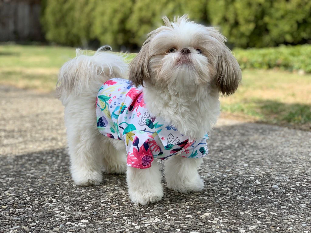 DOG THREADS | Blossom BBQ Shirt - Image 4