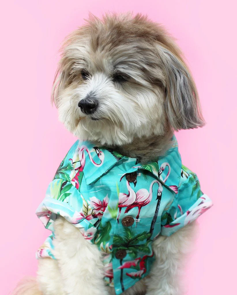 DOG THREADS | Flamingo Fresh BBQ Shirt - Image 3