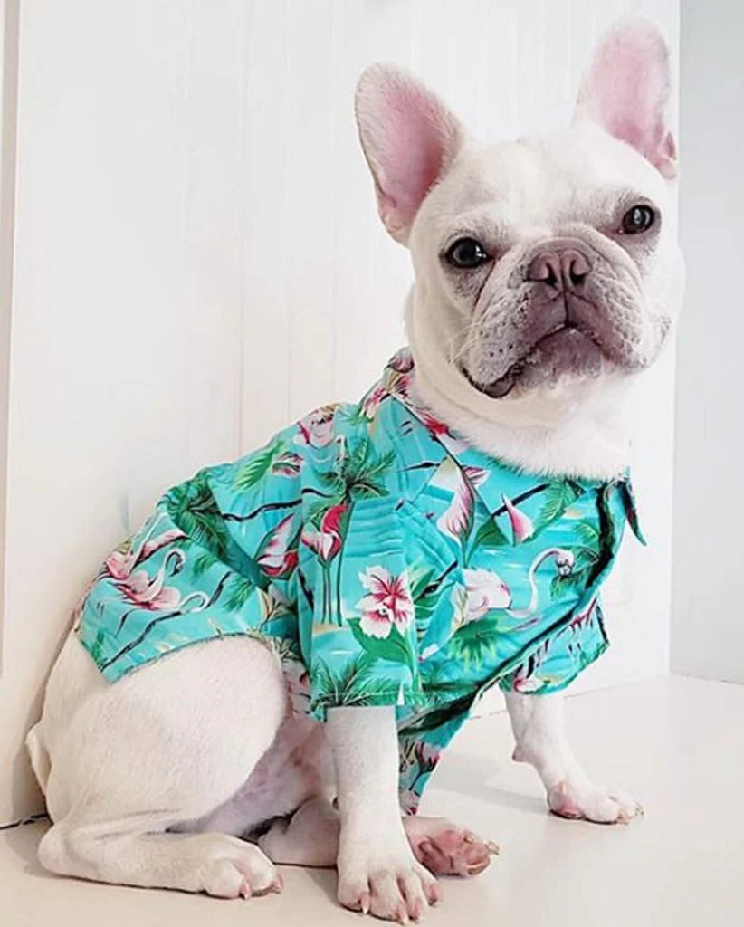 DOG THREADS | Flamingo Fresh BBQ Shirt - Image 6