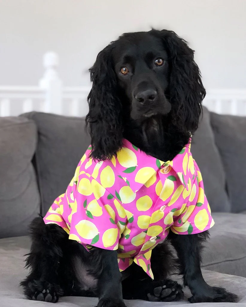 DOG THREADS | Lemons BBQ Shirt - Image 2