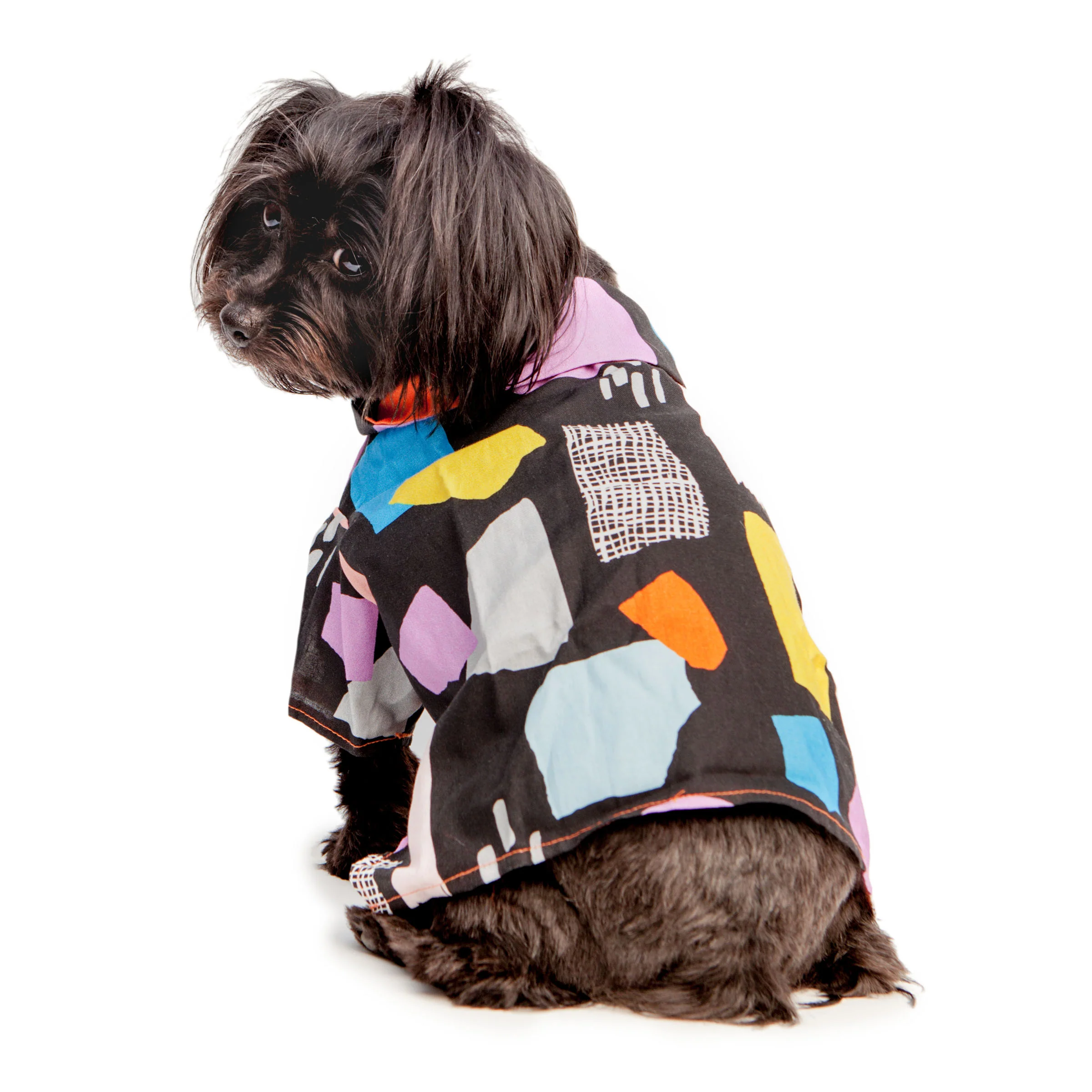 DOG THREADS | Modern Abstract Shirt in Black - Image 2