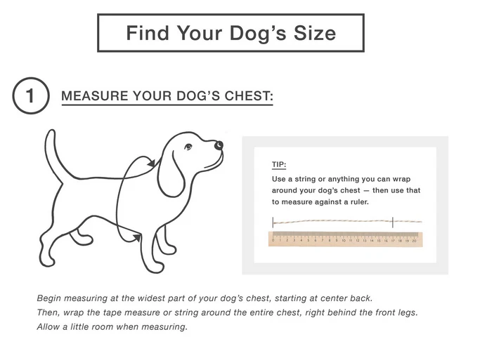 DOG THREADS | OMG Pocket Tee - Image 5