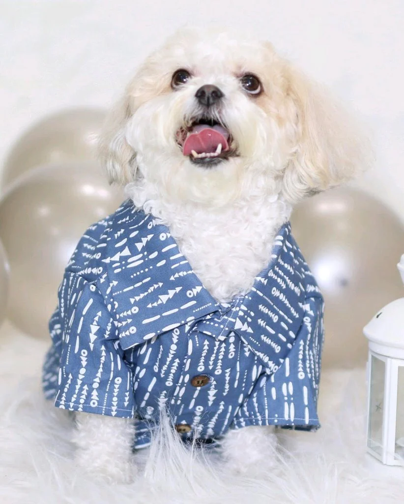 DOG THREADS | Riviera Chambray Shirt - Image 2