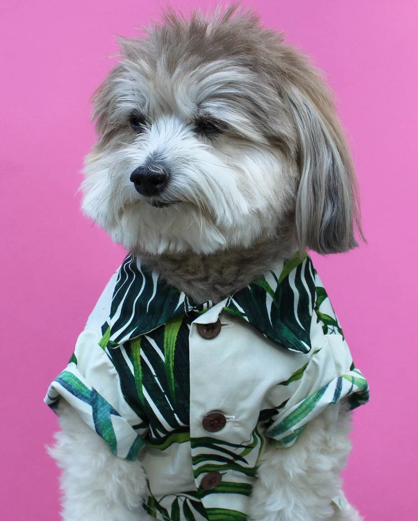 DOG THREADS | Havana Palms BBQ Shirt - Image 4