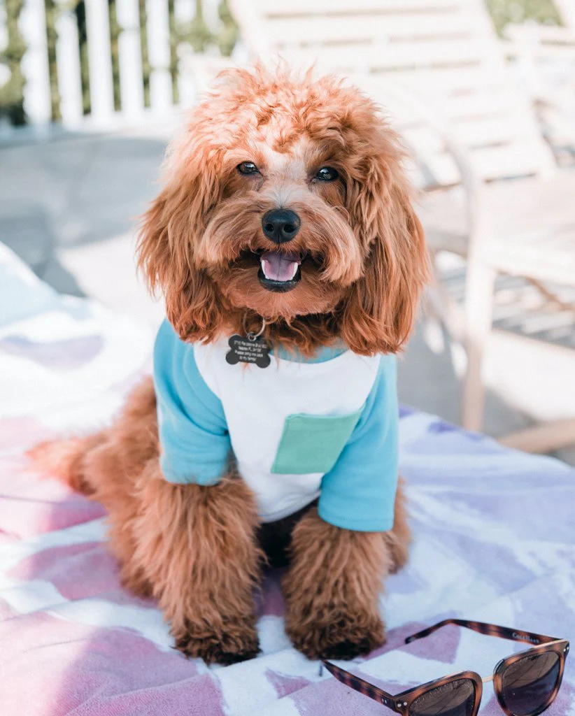 DOG THREADS | SO RAD Pocket Tee - Image 4