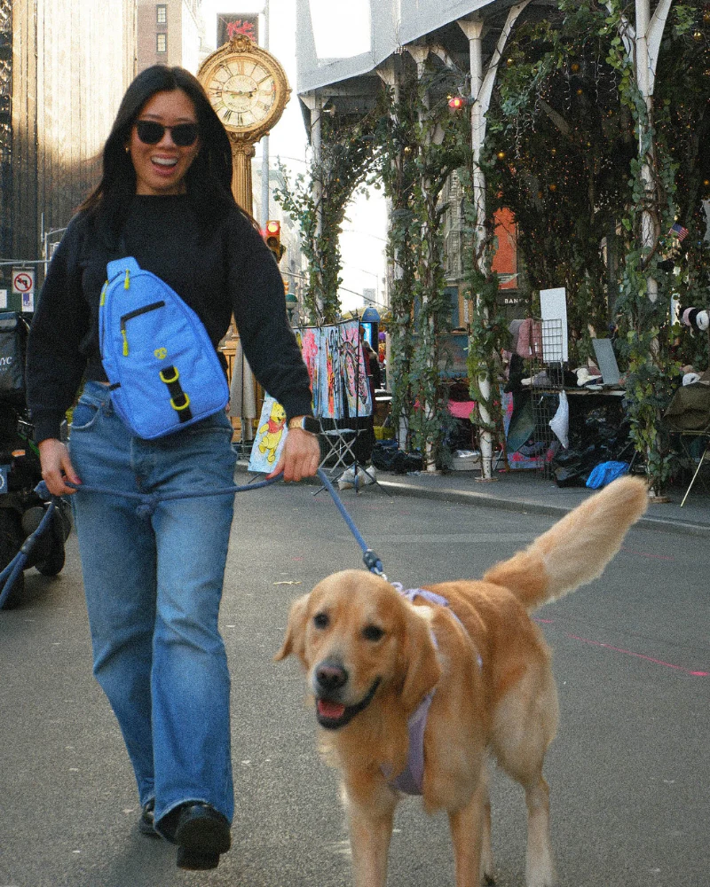 Waterproof Dog Walking Bag w/ Removable Treat Pouch - Image 20