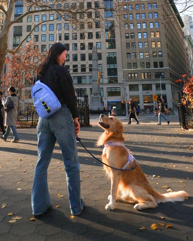 Waterproof Dog Walking Bag w/ Removable Treat Pouch - Image 22