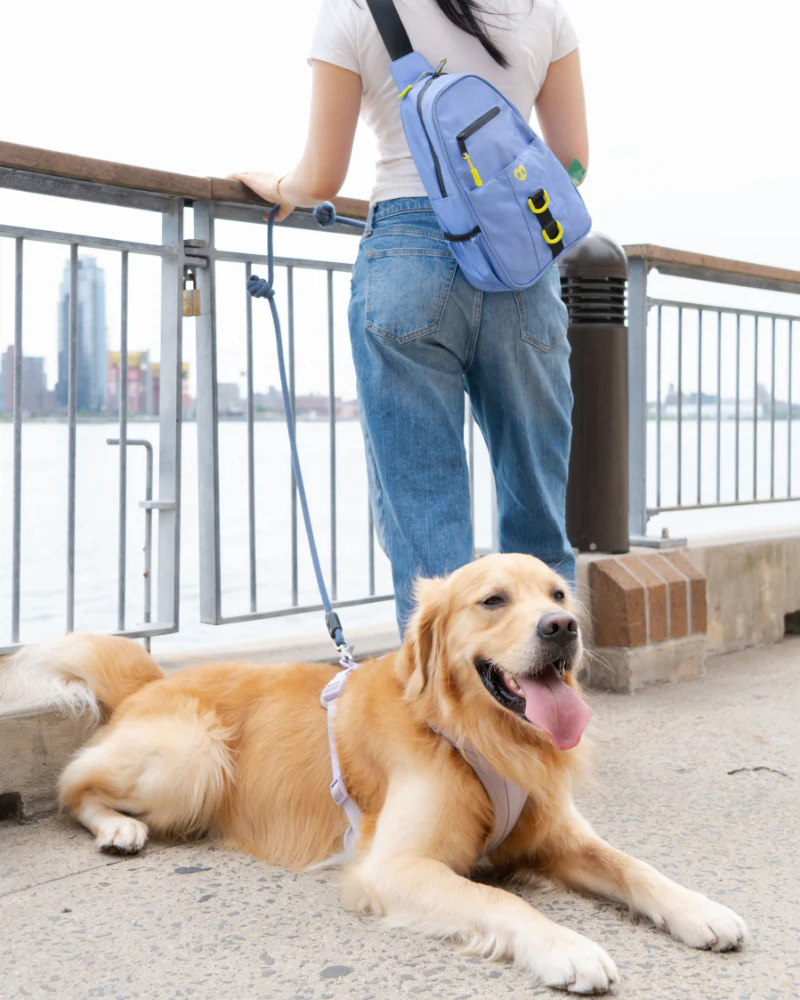 Waterproof Dog Walking Bag w/ Removable Treat Pouch - Image 25
