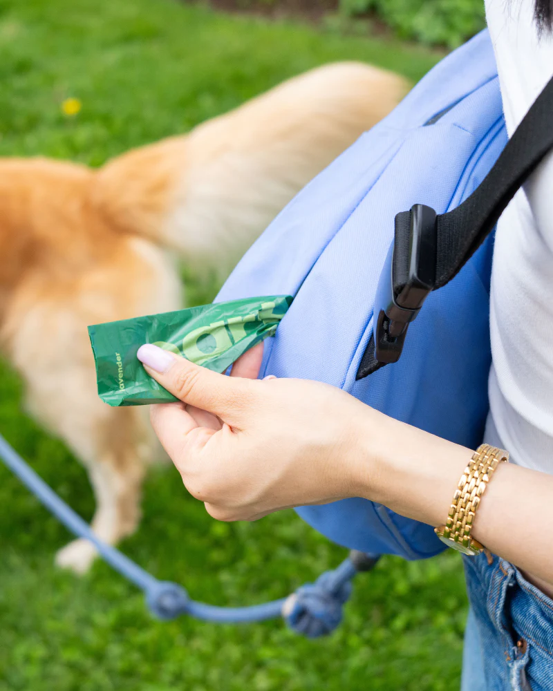 Waterproof Dog Walking Bag w/ Removable Treat Pouch - Image 26