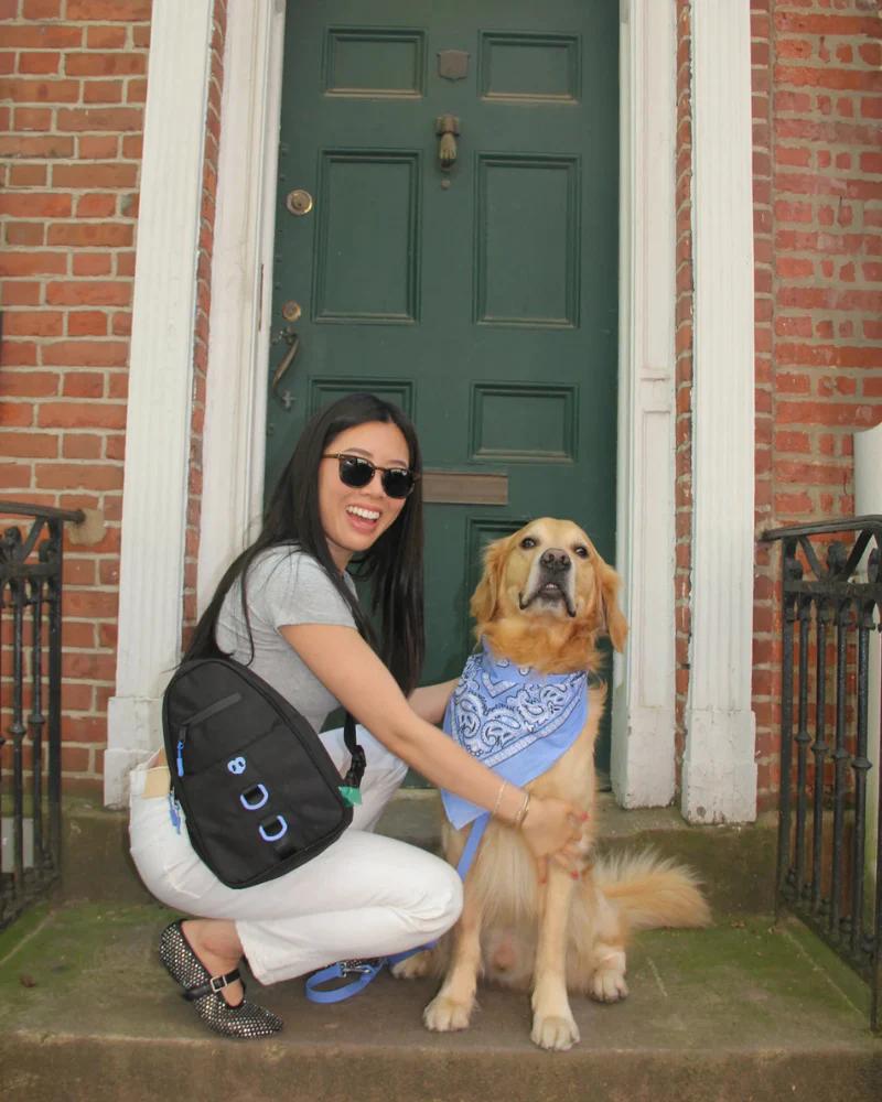 Waterproof Dog Walking Bag w/ Removable Treat Pouch - Image 3