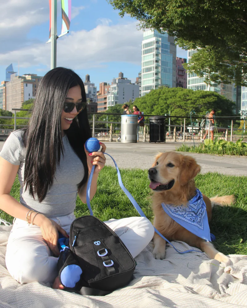 Waterproof Dog Walking Bag w/ Removable Treat Pouch - Image 5