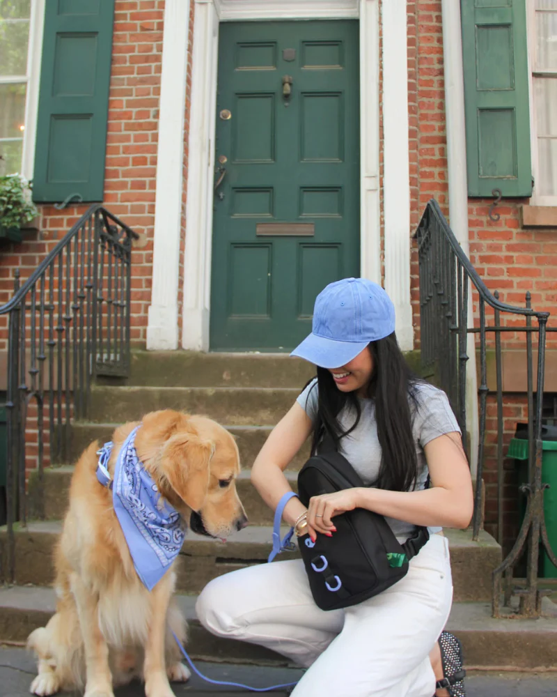 Waterproof Dog Walking Bag w/ Removable Treat Pouch - Image 6