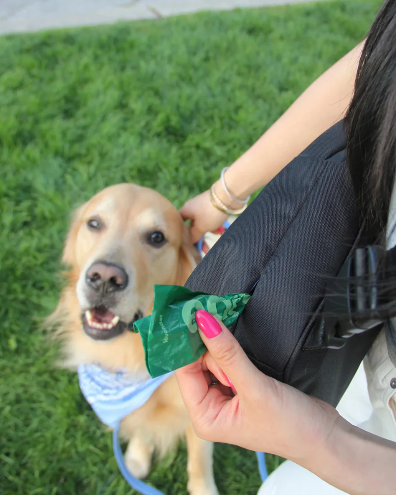 Waterproof Dog Walking Bag w/ Removable Treat Pouch - Image 8