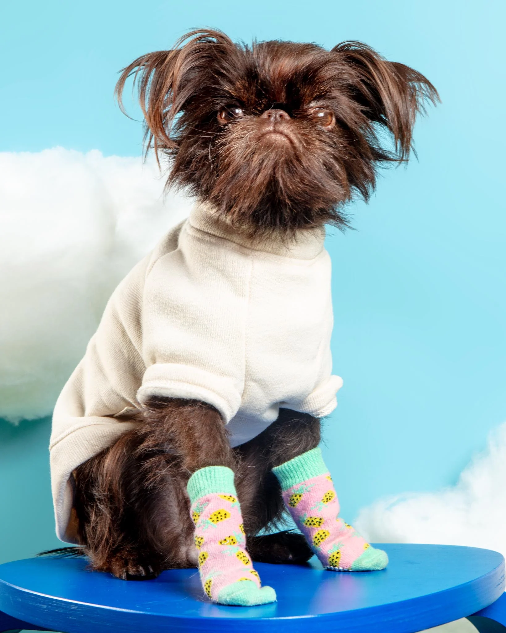 Non-Skid Dog Socks in Pineapple (FINAL SALE) - Image 4