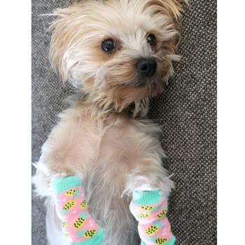 Non-Skid Dog Socks in Pineapple (FINAL SALE) - Image 8