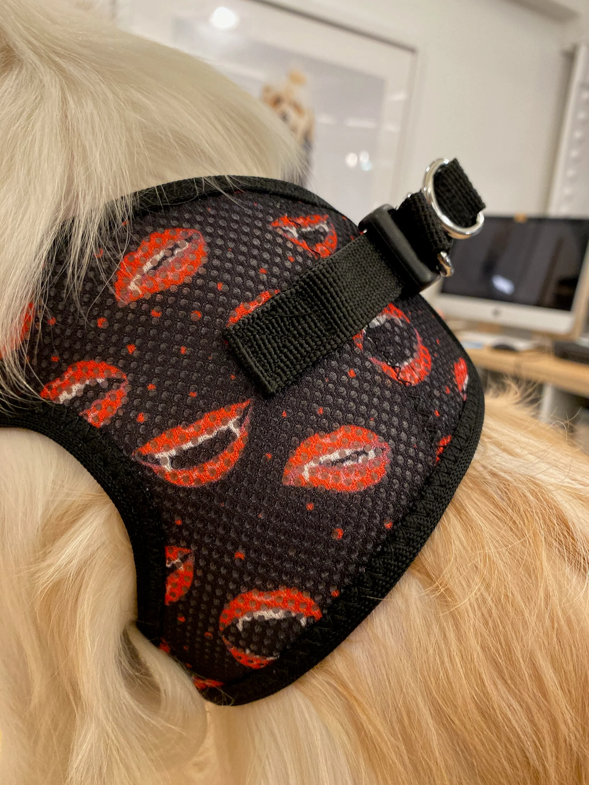 DOGGIE DESIGN | Vampire Kisses Harness - Image 2