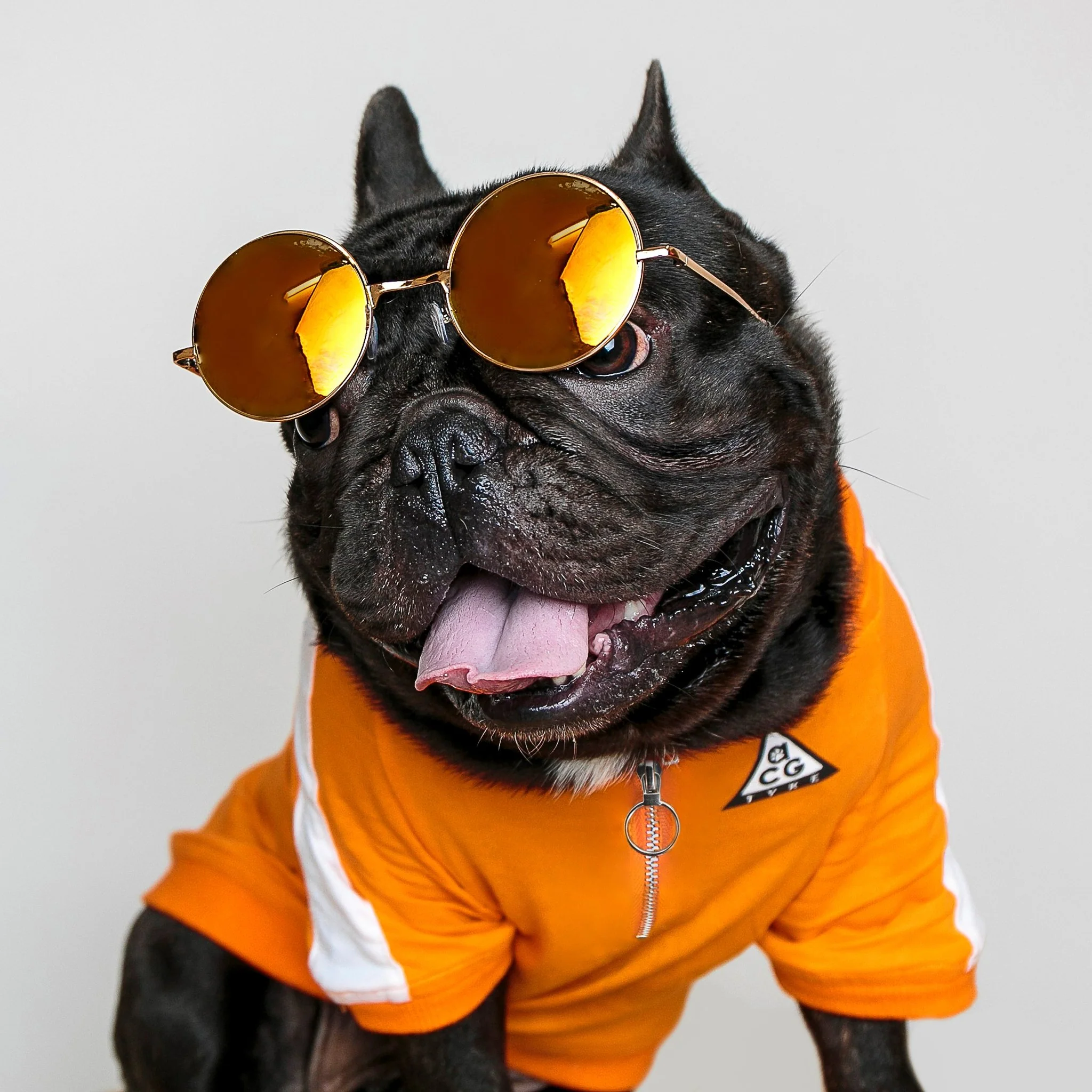 DOGGO STREET MARKET | All Canine Gear Pullover - Image 2
