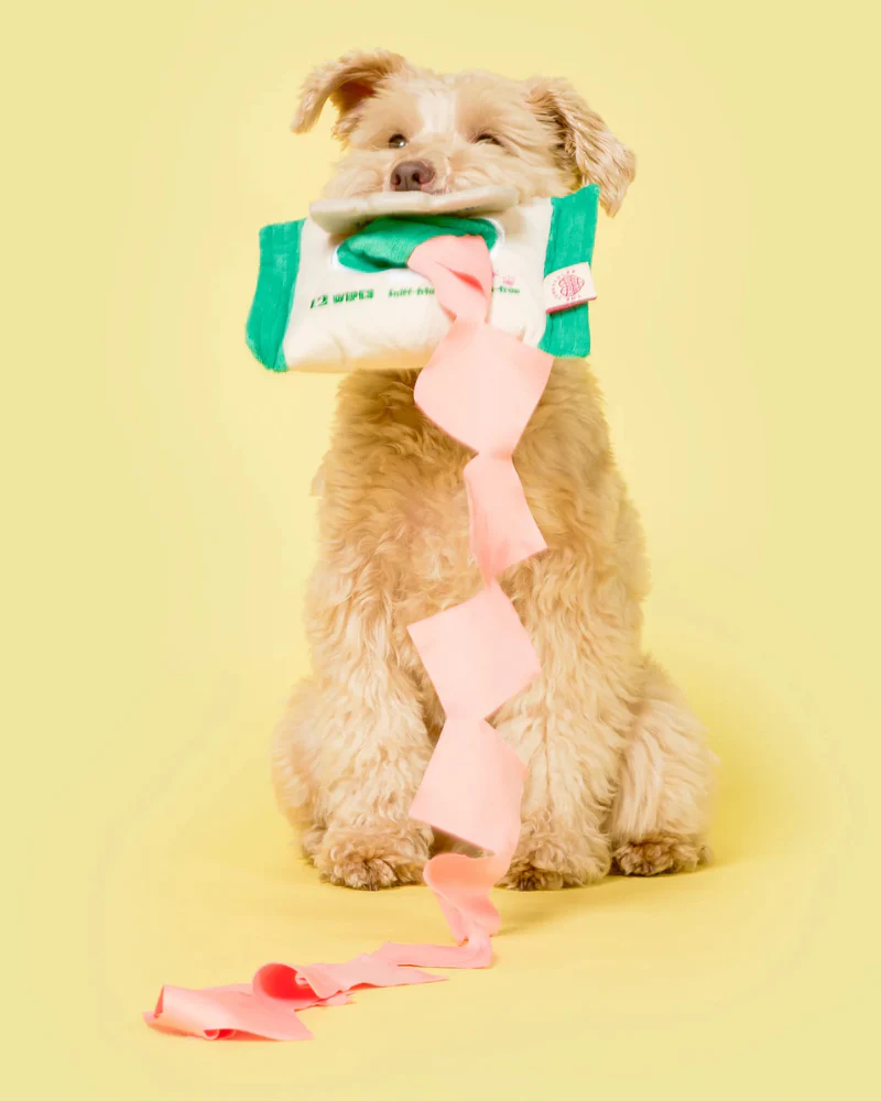 Doggo Wipes Nosework Dog Toy