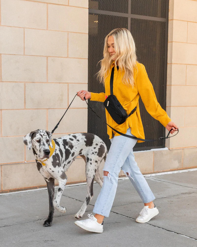 Doggy Dash Pack Bag - Image 2
