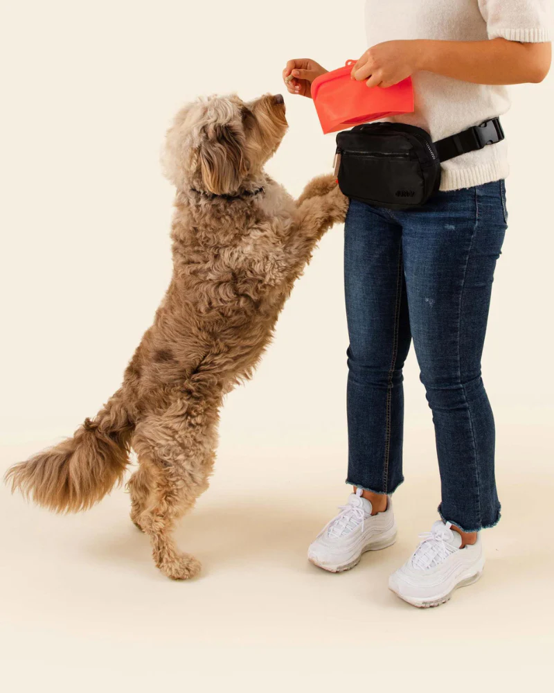 Doggy Dash Pack Bag - Image 6