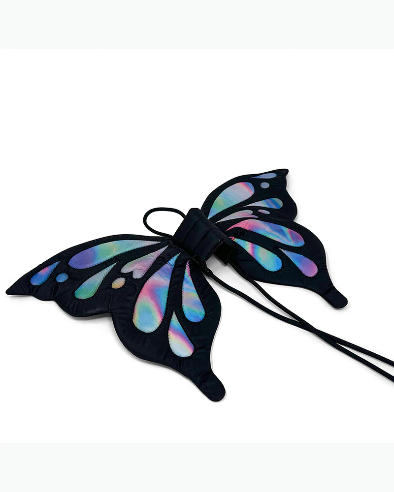 Adjustable Tie-On Butterfly Wings for Dogs - Image 11