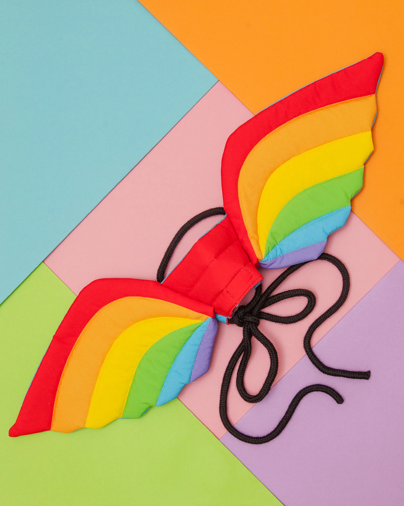 Adjustable Tie-On Rainbow Dog Wings