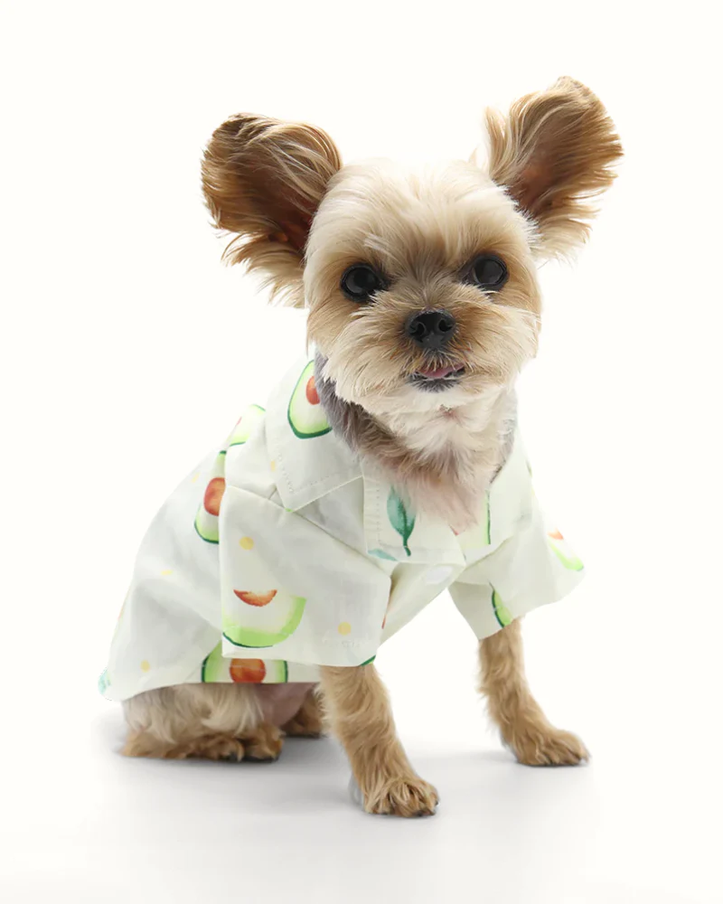 Avocado Button Dog Shirt for Dogs - Image 3