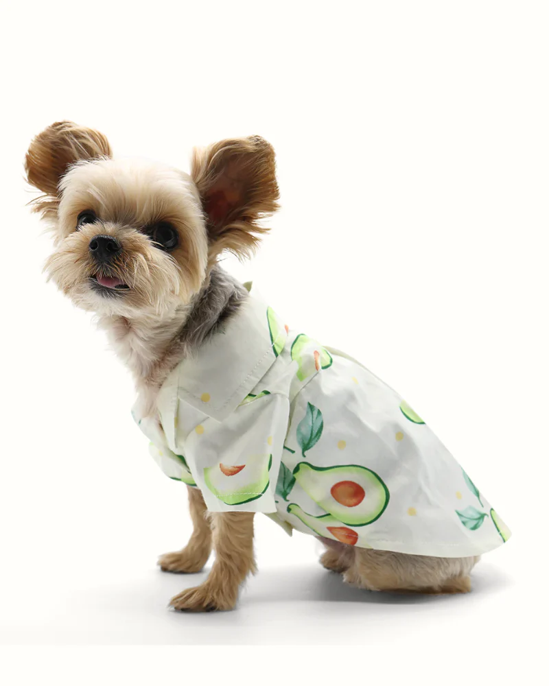 Avocado Button Dog Shirt for Dogs - Image 5