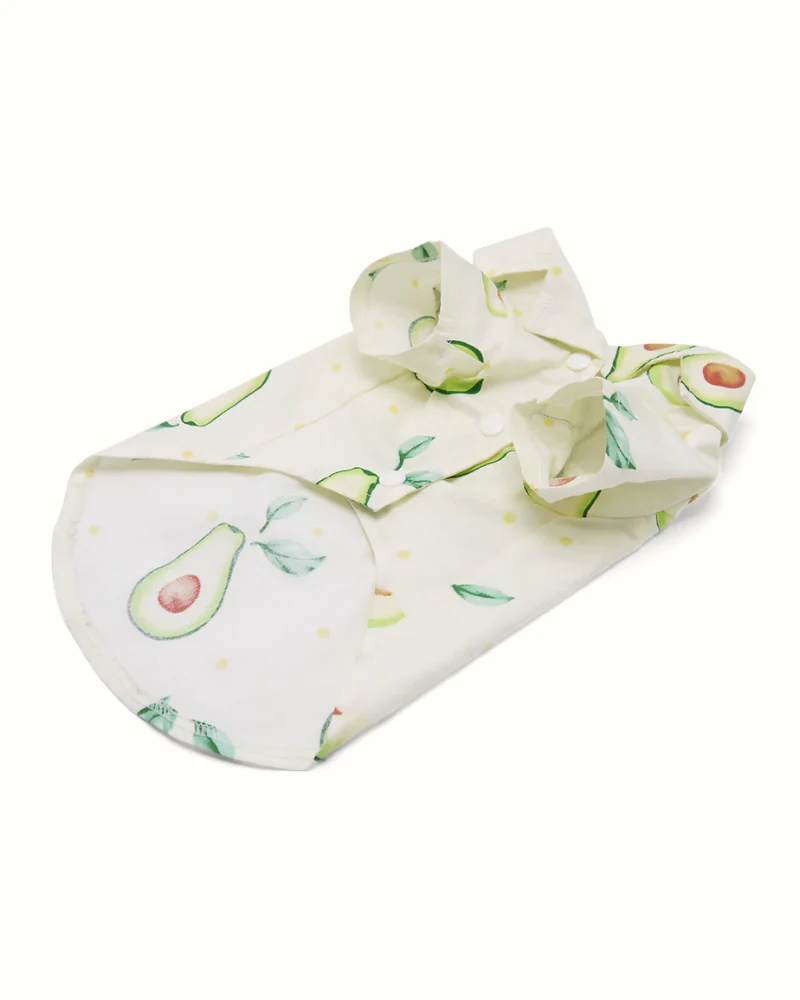 Avocado Button Dog Shirt for Dogs - Image 7