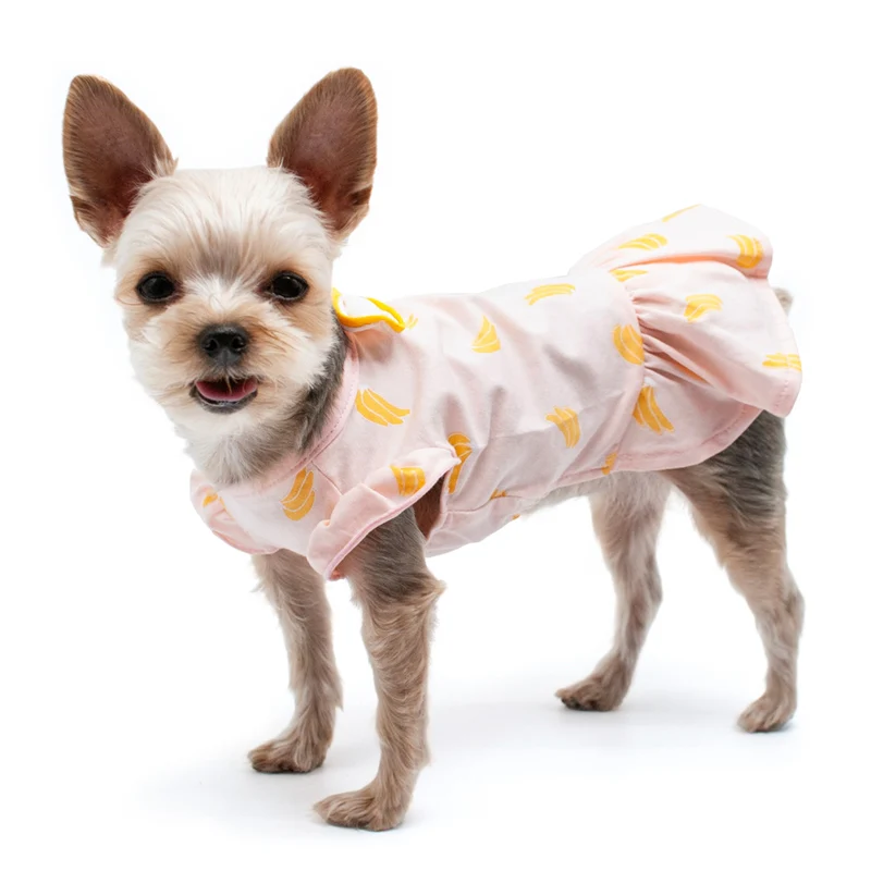 Bananas Lightweight Dog Dress (FINAL SALE) - Image 6