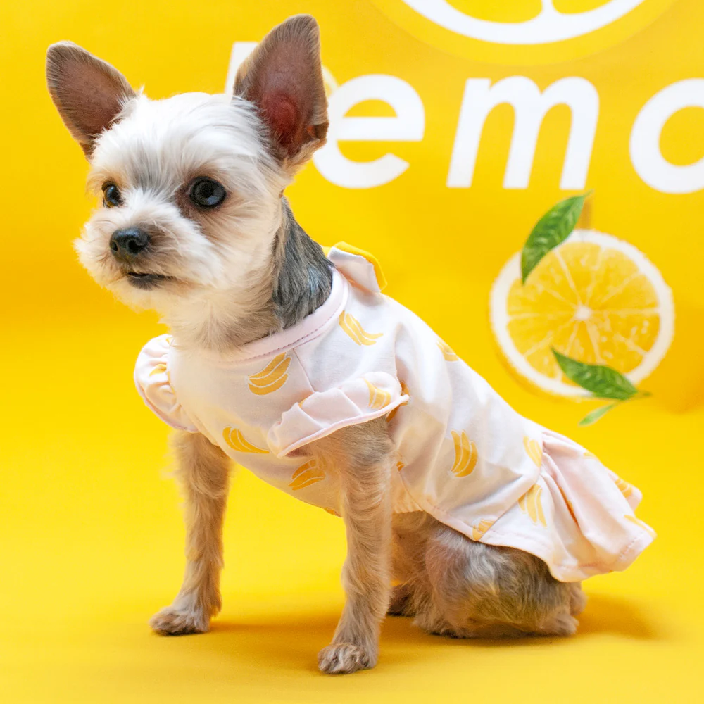 Bananas Lightweight Dog Dress (FINAL SALE) - Image 8