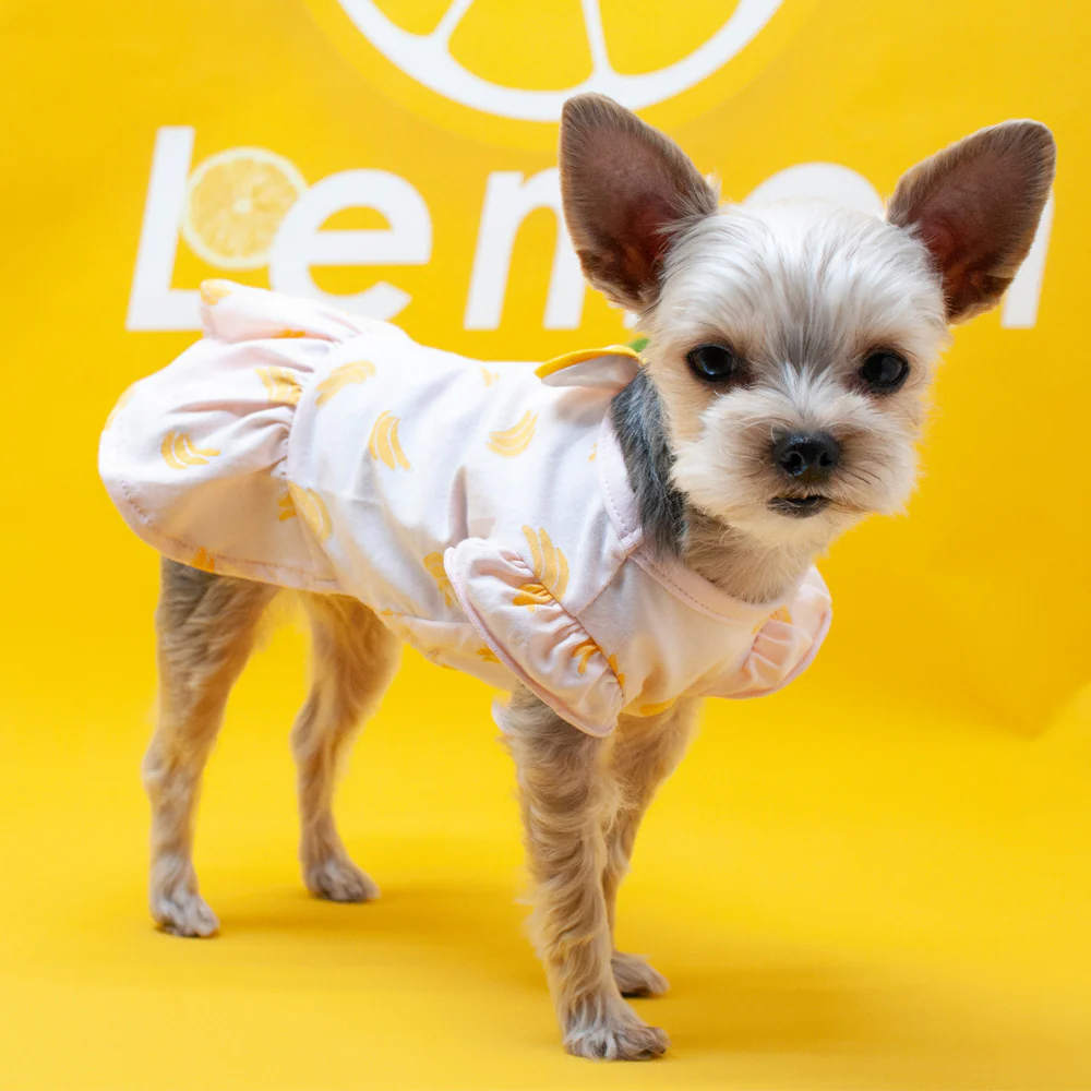 Bananas Lightweight Dog Dress (FINAL SALE) - Image 9