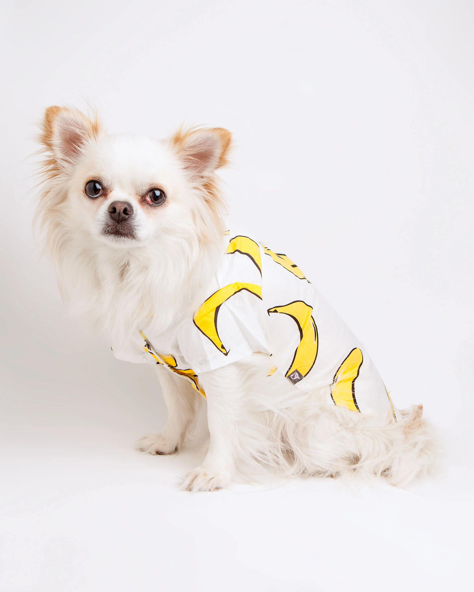 Banana Button Down Dog Shirt (FINAL SALE)