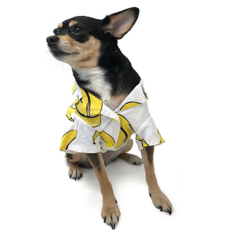 Banana Button Down Dog Shirt (FINAL SALE) - Image 7