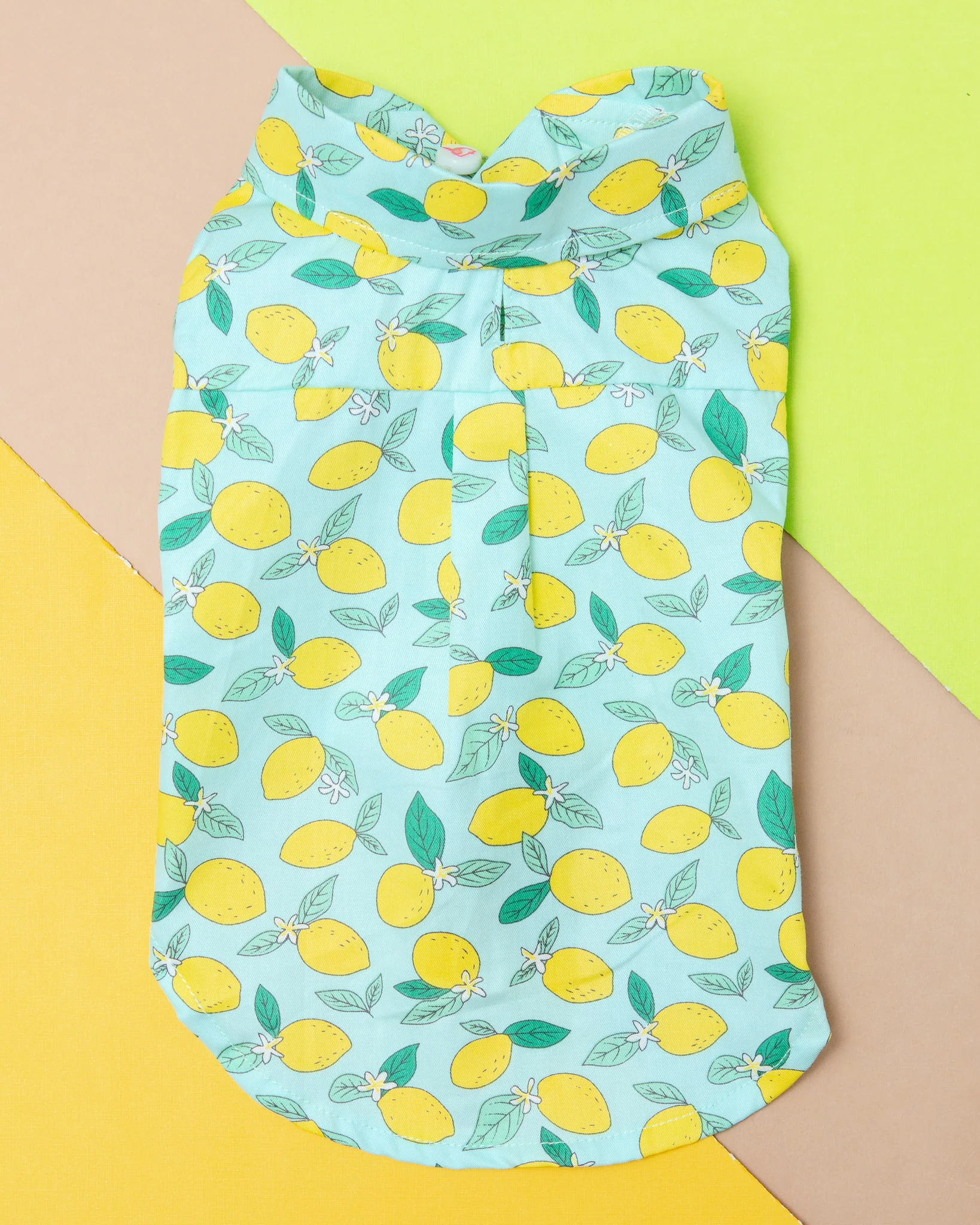 Blue Lemon Button Down Shirt for Dogs << FINAL SALE >> - Image 2