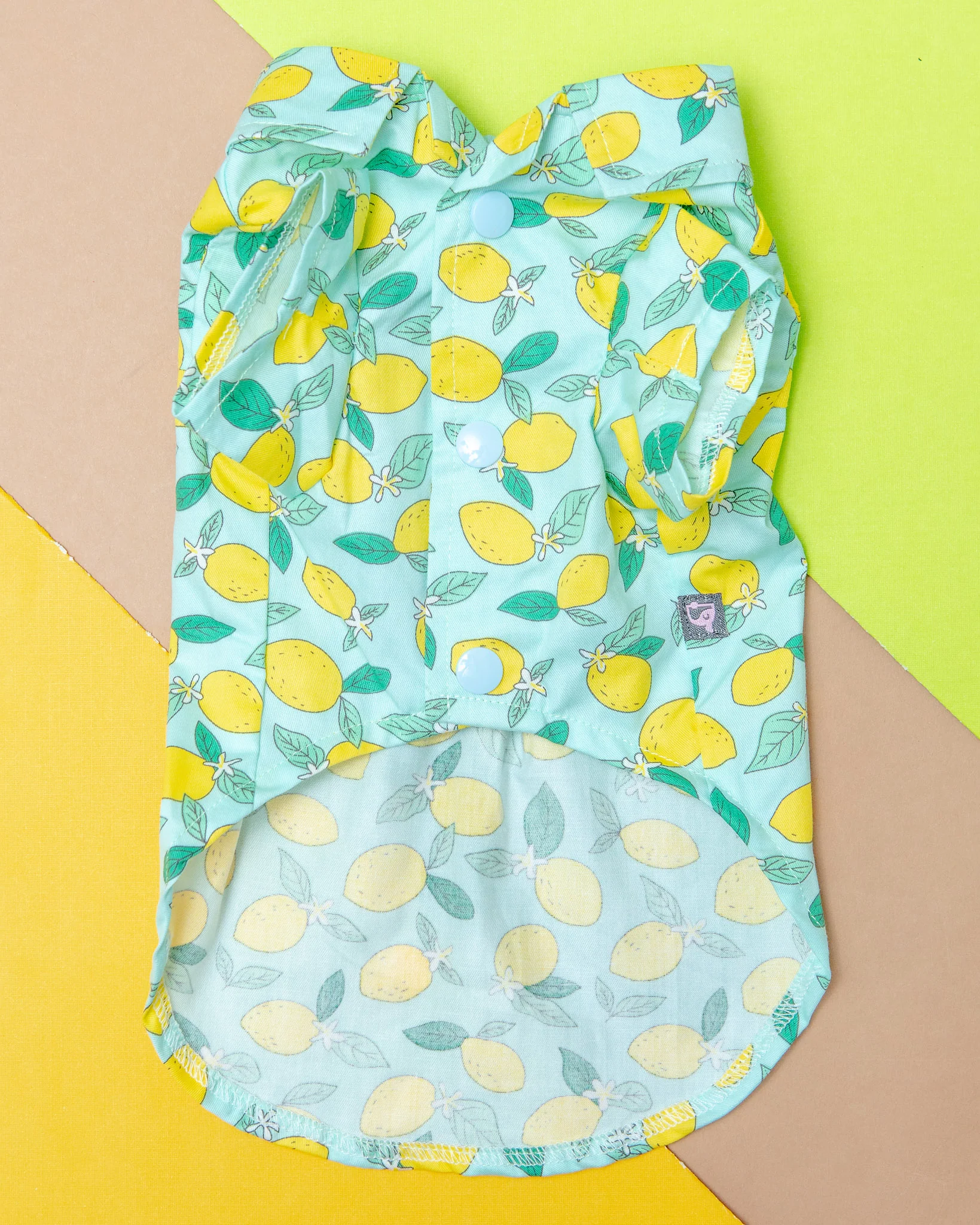 Blue Lemon Button Down Shirt for Dogs << FINAL SALE >> - Image 4