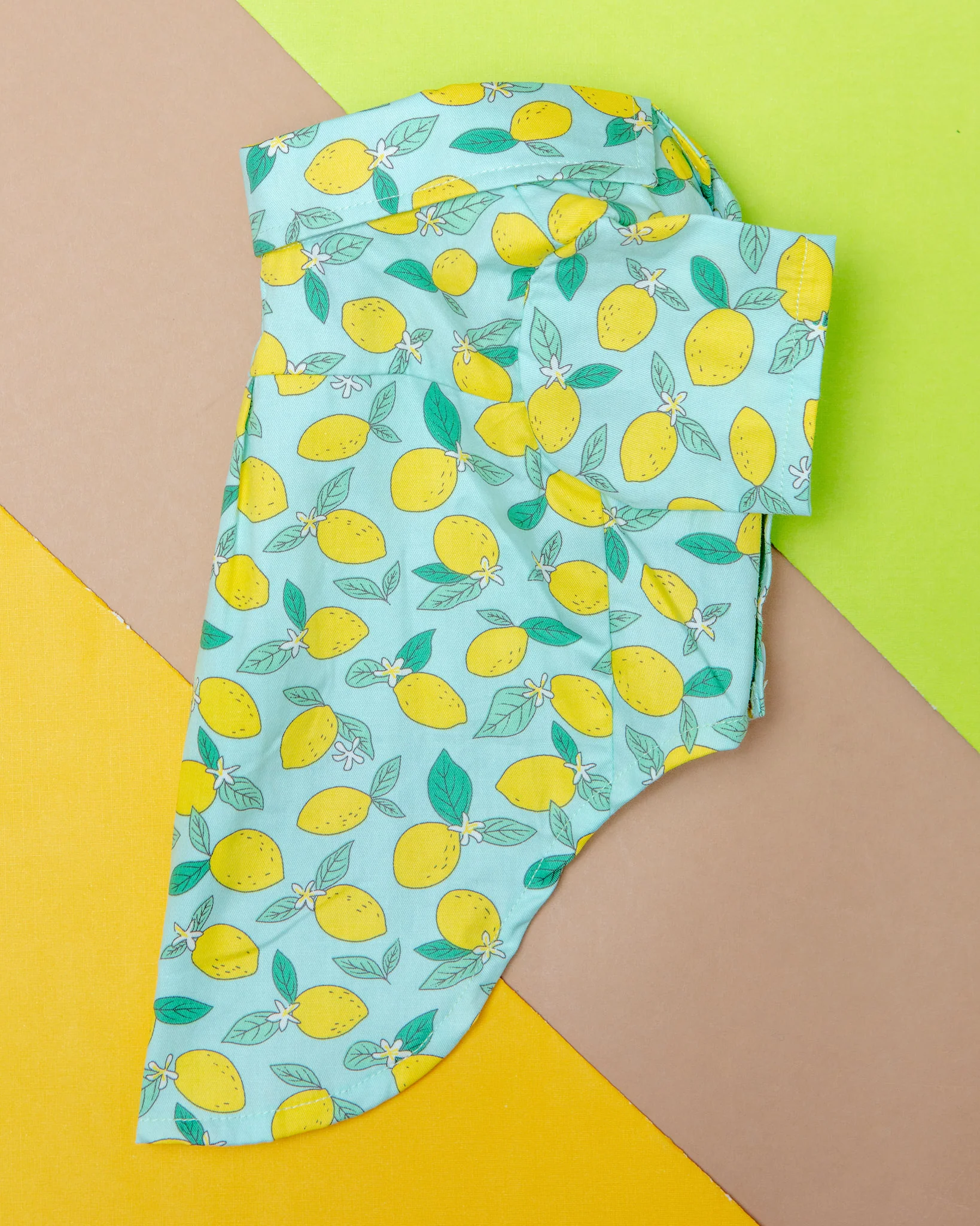 Blue Lemon Button Down Shirt for Dogs << FINAL SALE >> - Image 5