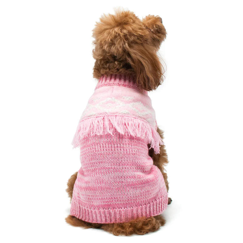 DOGO | Boho Fringe Sweater - Image 3