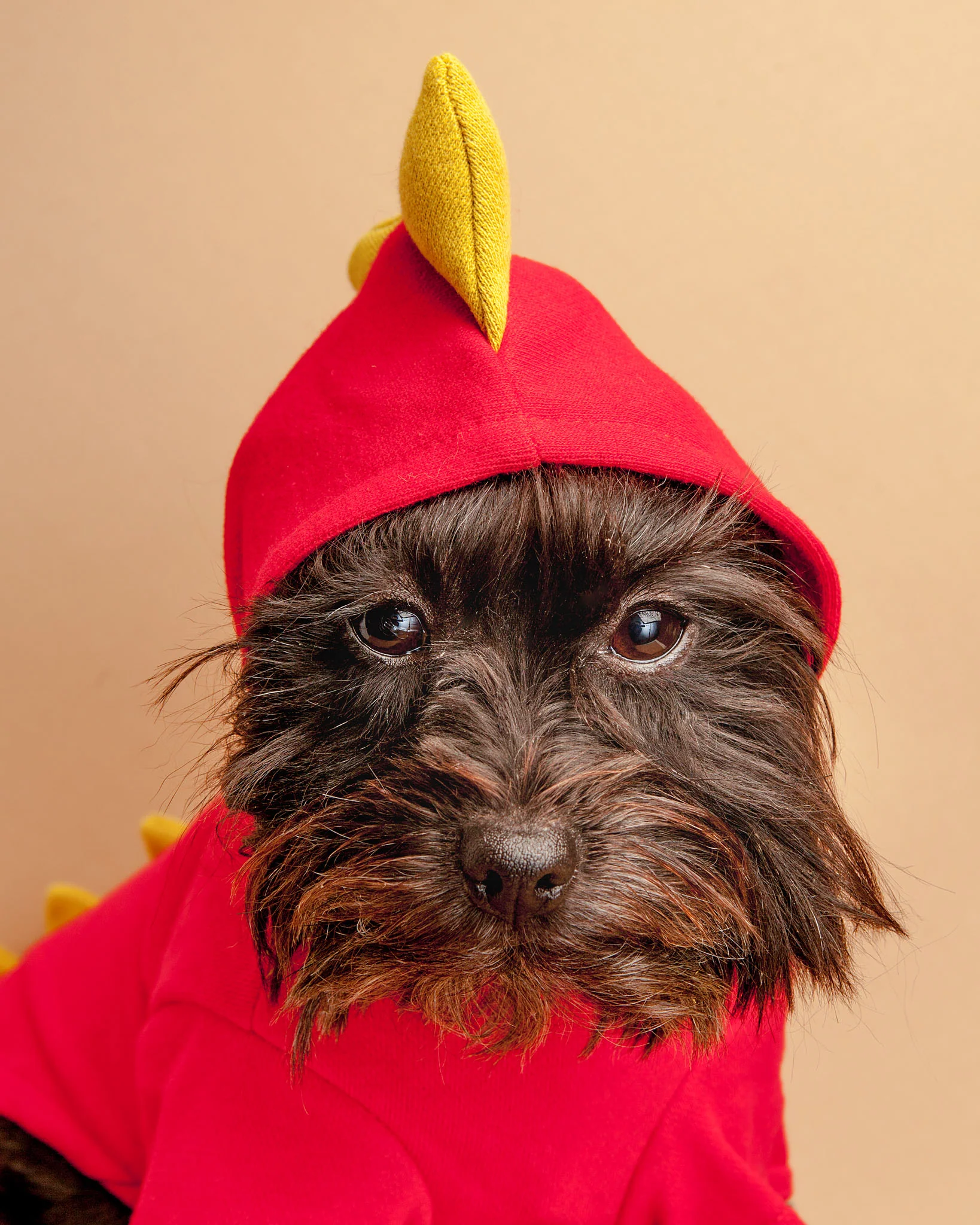 Doggie Dragon Sweatshirt - Image 2