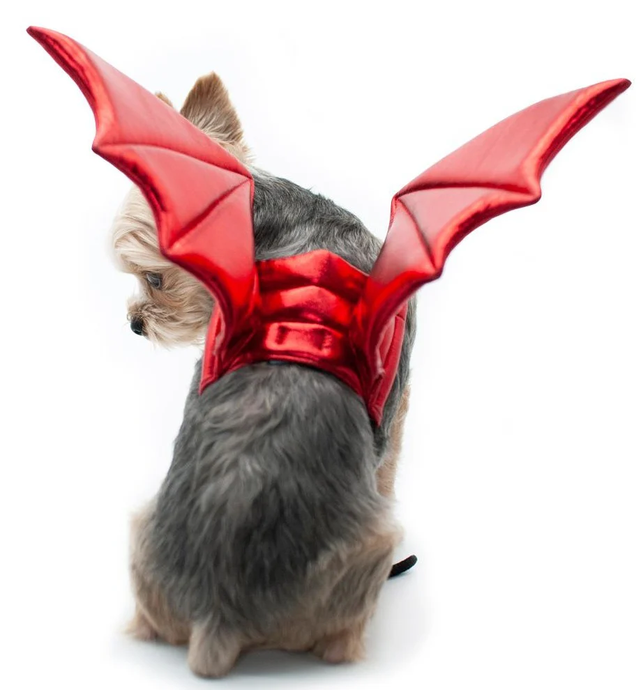 Adjustable Tie-On Dragon Howl-O-Ween Dog Wings in Red