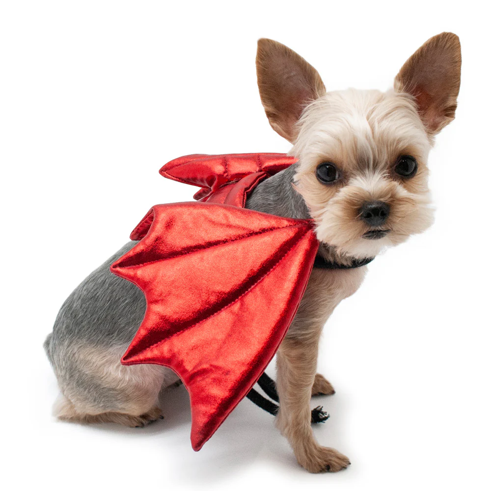 Adjustable Tie-On Dragon Howl-O-Ween Dog Wings in Red - Image 4