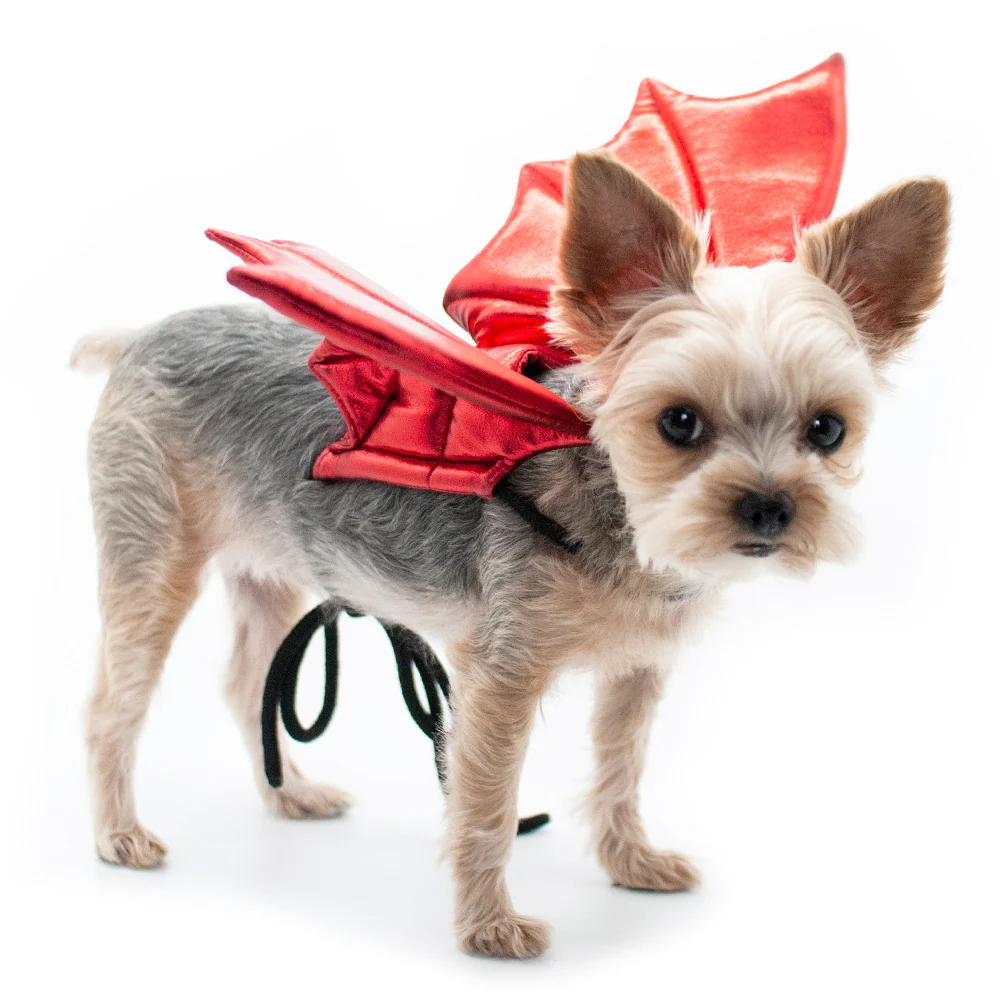 Adjustable Tie-On Dragon Howl-O-Ween Dog Wings in Red - Image 5