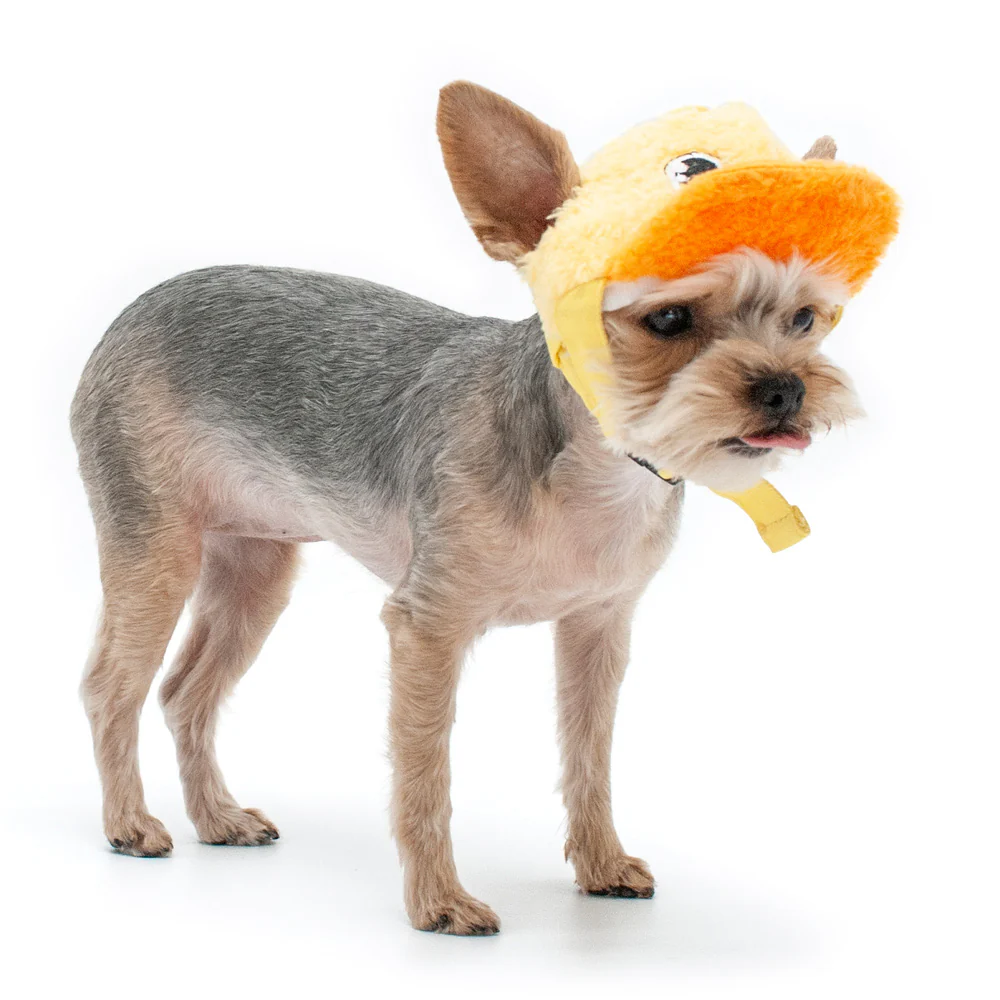 DOGO | Duck Hat - Image 5