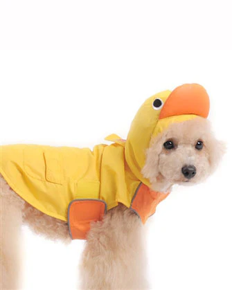 Duck Raincoat in Yellow - Image 4
