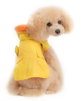 Duck Raincoat in Yellow - Image 7