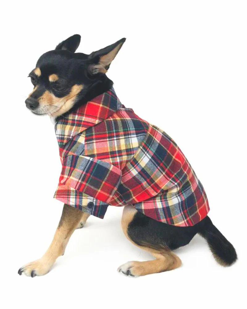 Flannel Plaid Button Down Shirt in Red (FINAL SALE) - Image 6