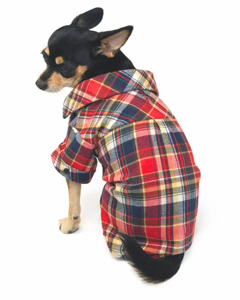 Flannel Plaid Button Down Shirt in Red (FINAL SALE) - Image 7