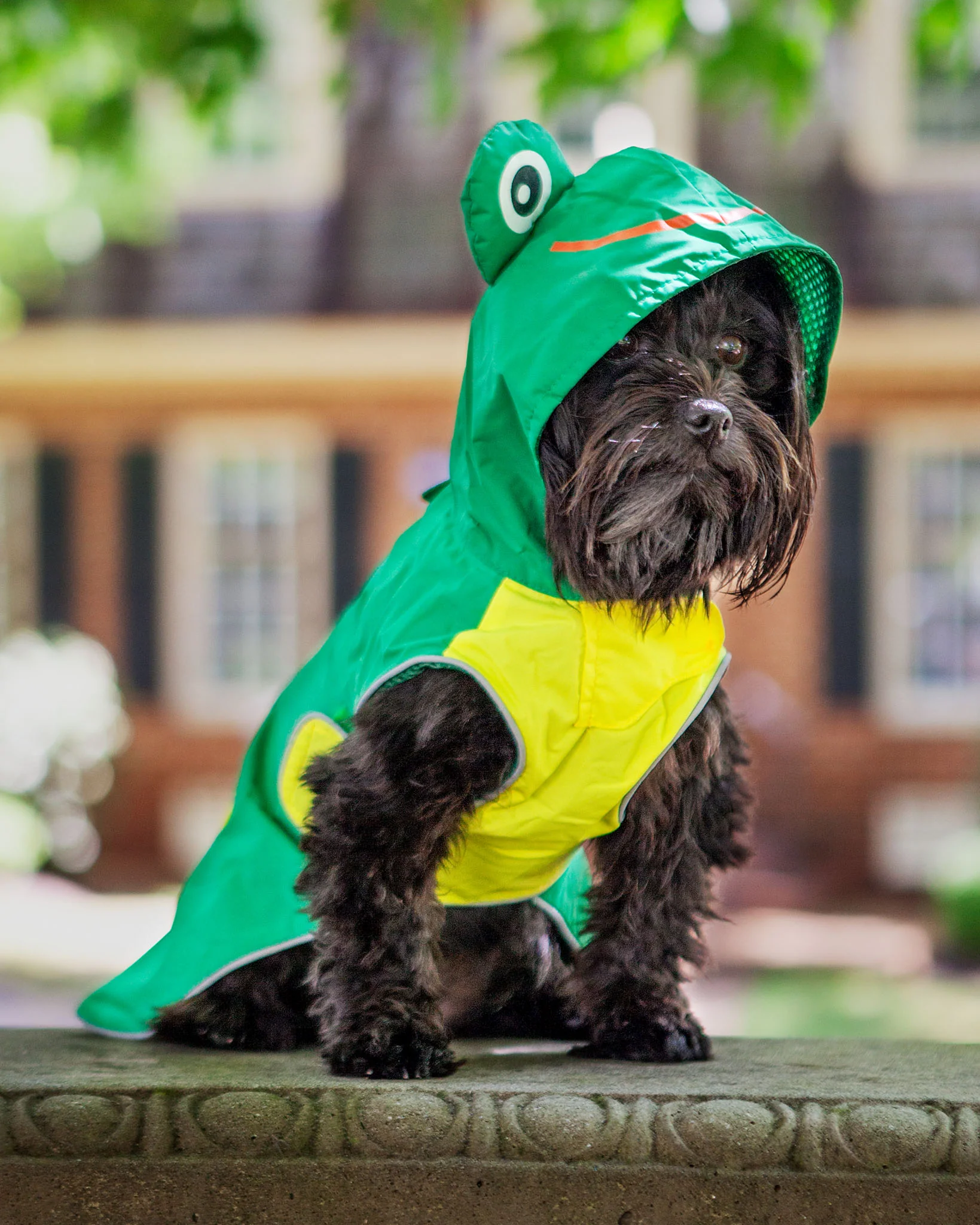 Frog Raincoat in Green - Image 2