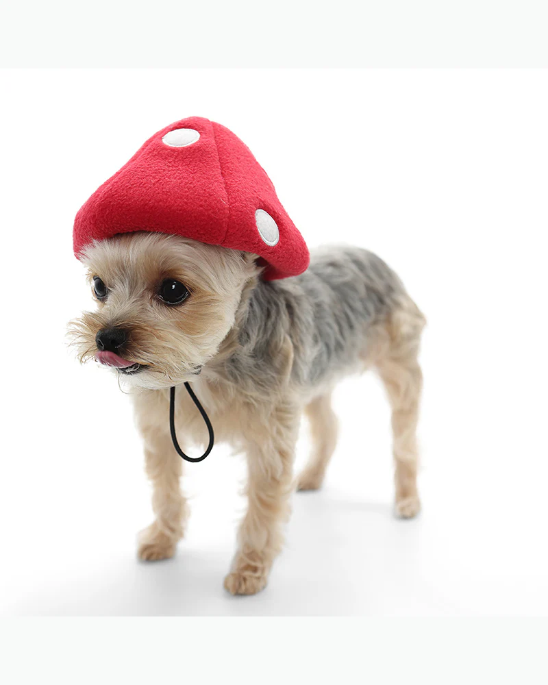 Howl-O-Ween Mushroom Cap - Image 3